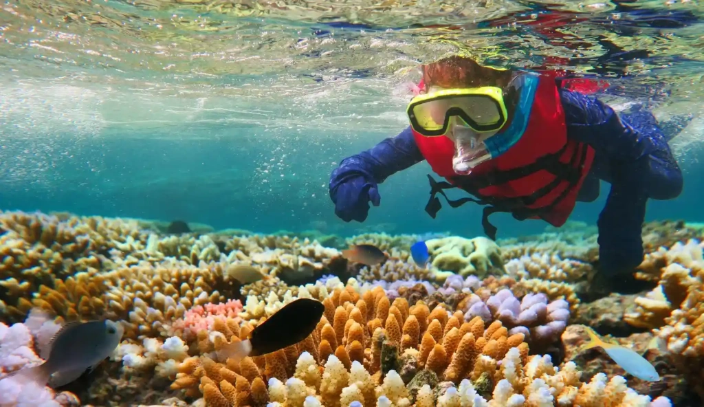Crystal Bay Investland | Nusa Penida Kontraktor | Gahing Karya